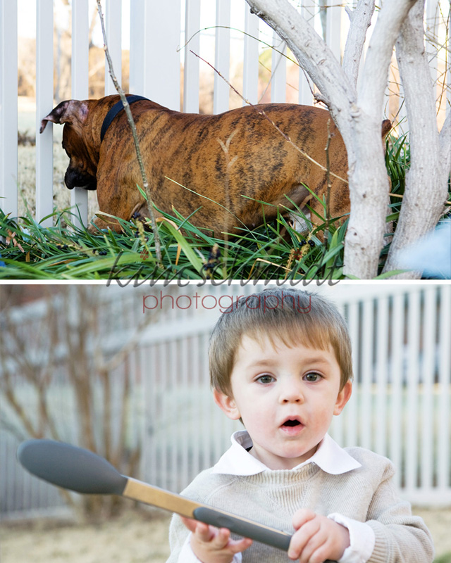 kim schmidt photography - new jersey photographer