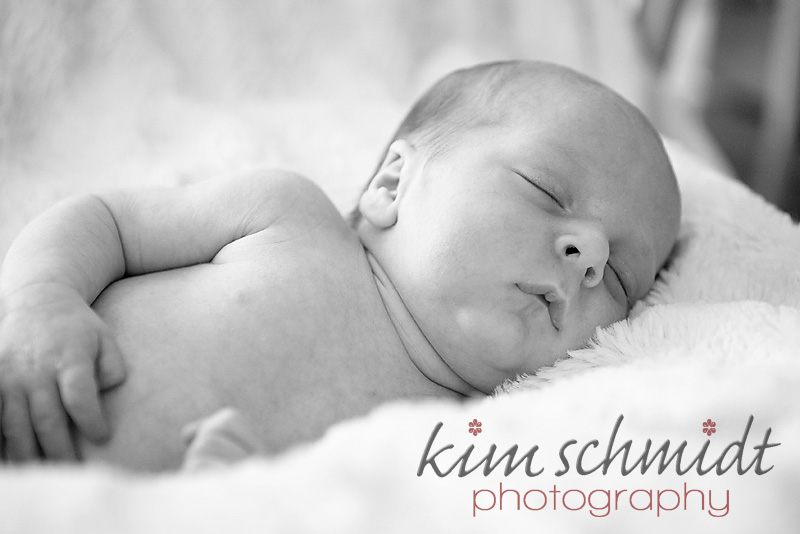 central new jersey twin newborn photographer