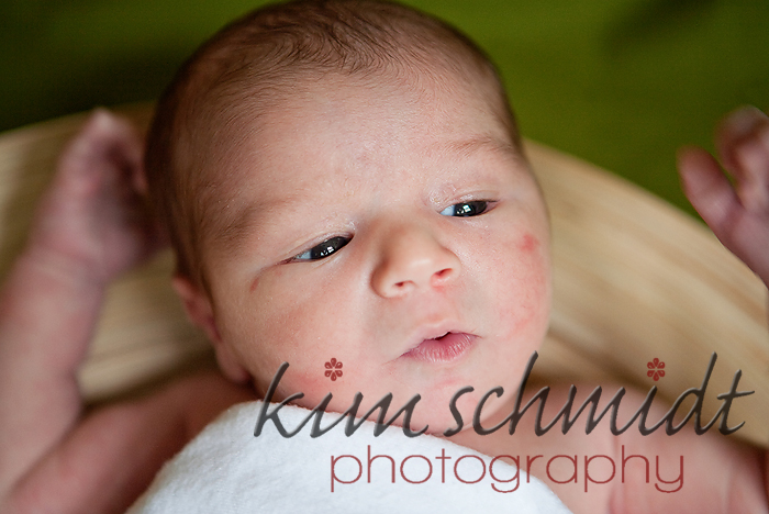 princeton newborn photographer princeton newborn photographer